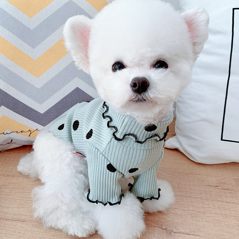 Dot turtleneck dog bottoming shirt